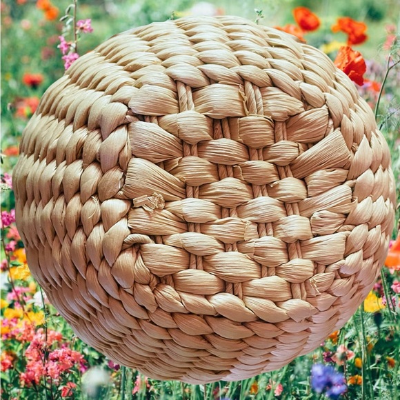 Designer Brand Frances Valentine Honeypot Wicker Basket Purse - Picture 5 of 9